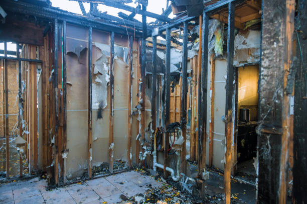 Professional Fire Damage Repair technician working in Casselberry, FL
